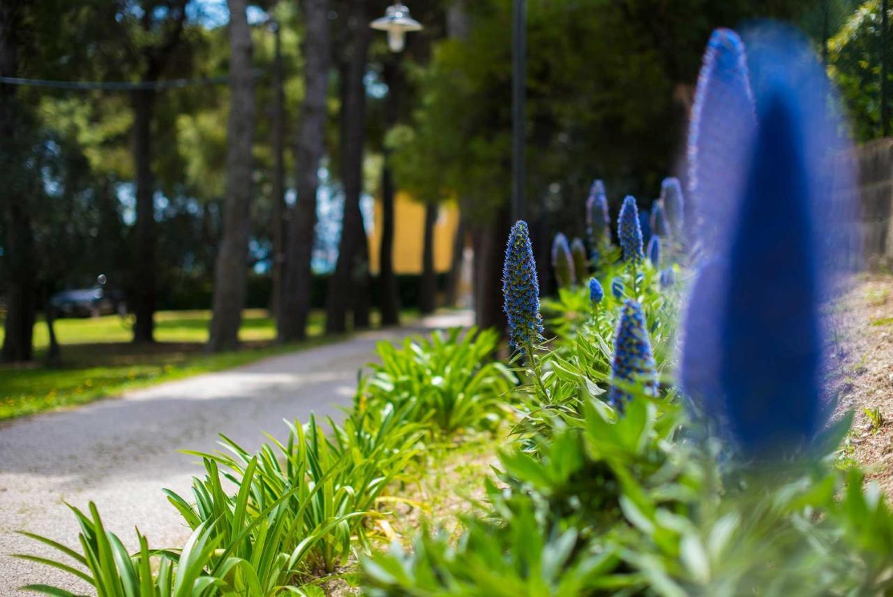 Bed and Breakfast Tra Gli Alberi E Il Mare Sirolo Exterior foto